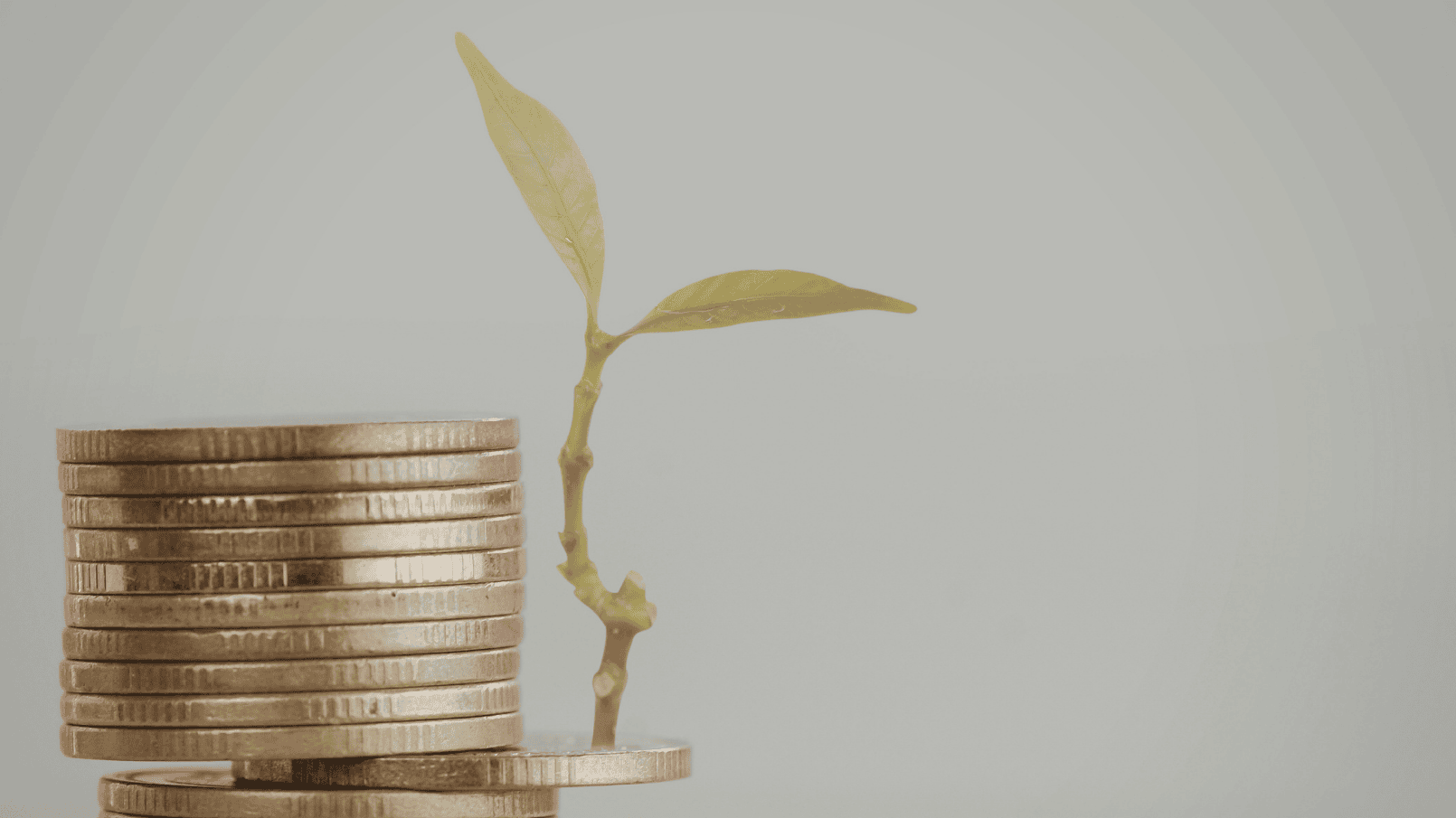 Standortfördergesetz: Gamechanger für Immobilienfonds & PV-Investitionen